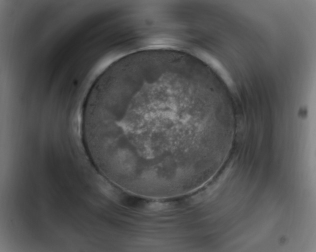 X0000103131419200808291306