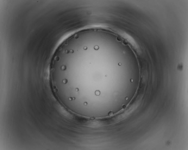 X0000103131420200808291306