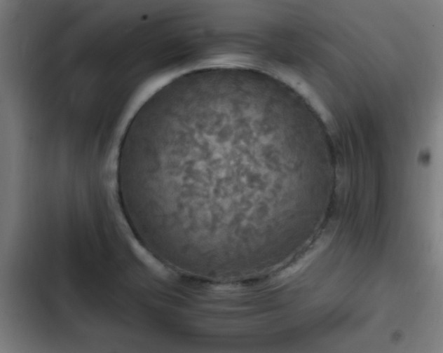 X0000103131421200808291306