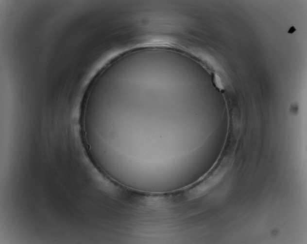 X0000103131422200808291306