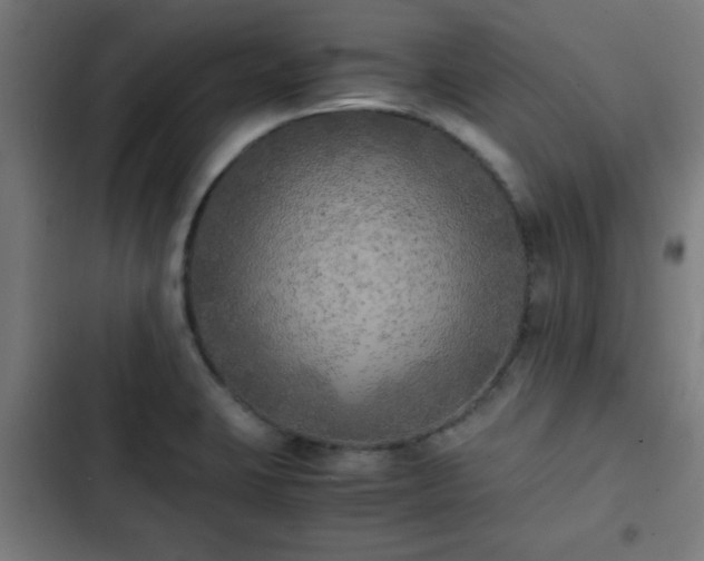 X0000103131423200808291306