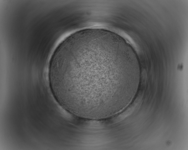 X0000103131424200808291306