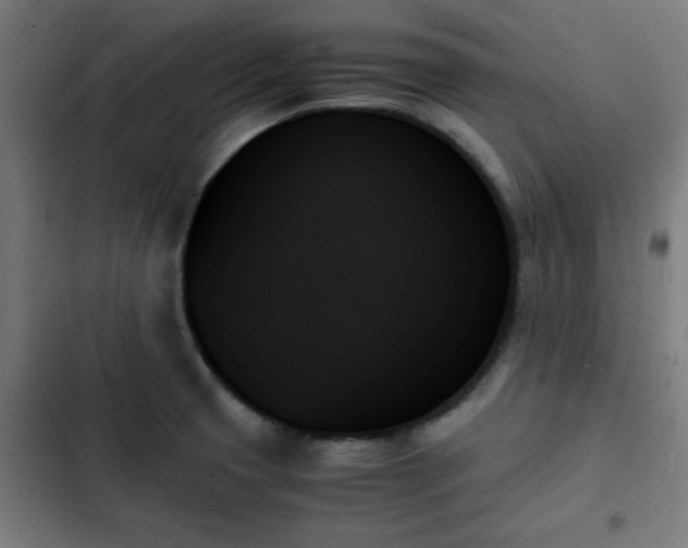 X0000103131425200808291306