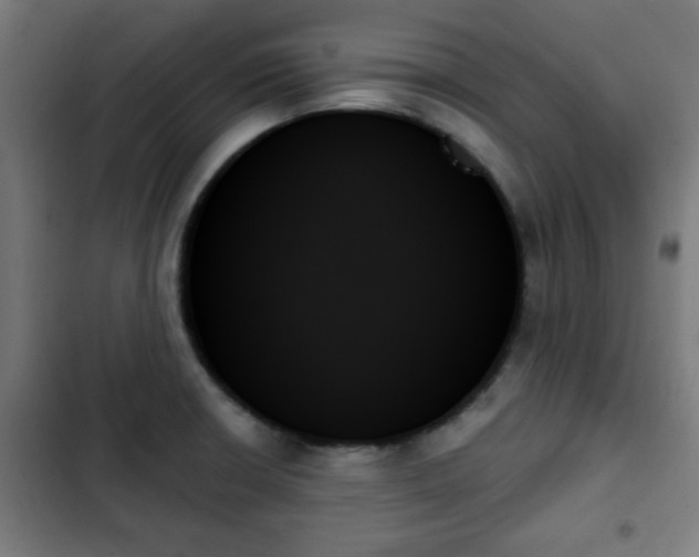 X0000103131426200808291306