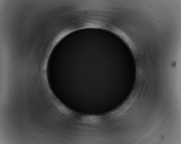 X0000103131427200808291306