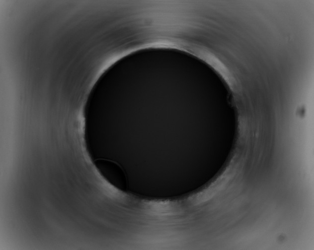 X0000103131428200808291306