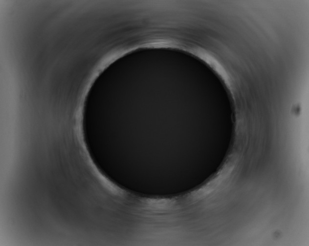 X0000103131429200808291306