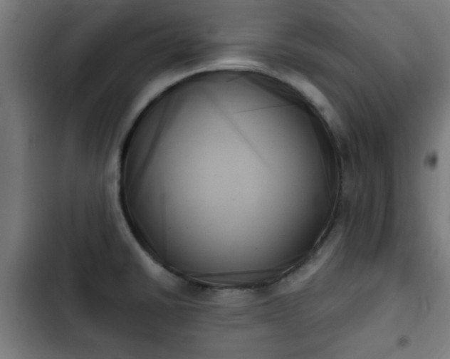 X0000103131430200808291306
