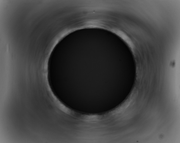 X0000103131431200808291306