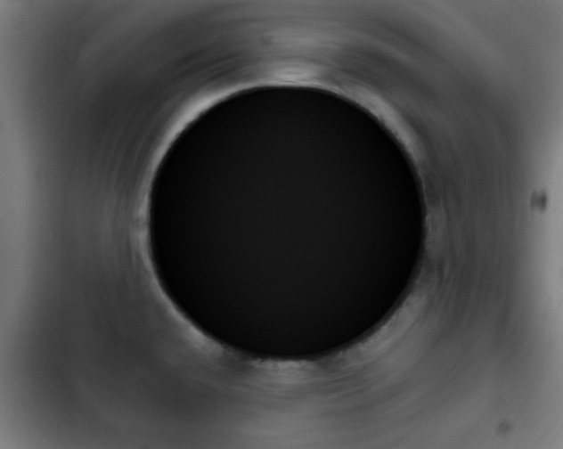 X0000103131432200808291306