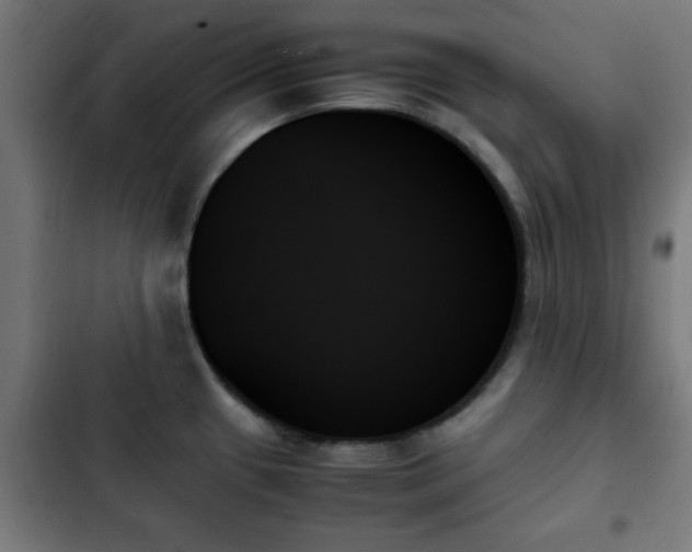 X0000103131433200808291306