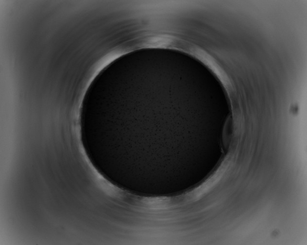 X0000103131434200808291306
