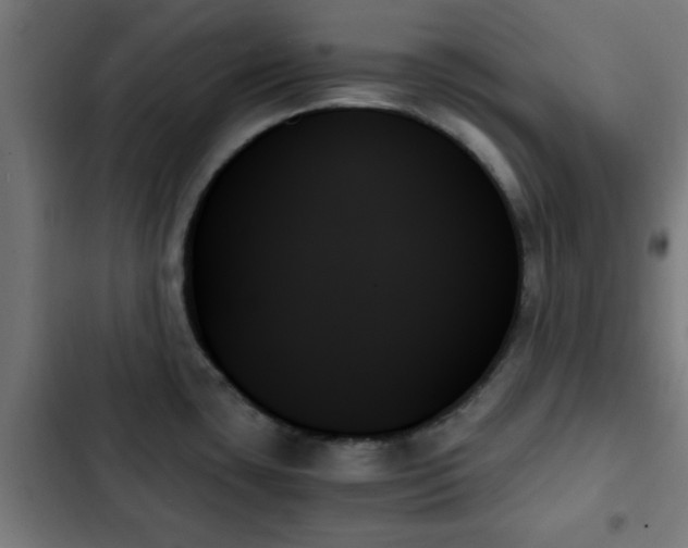 X0000103131435200808291306