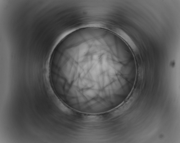 X0000103131436200808291306