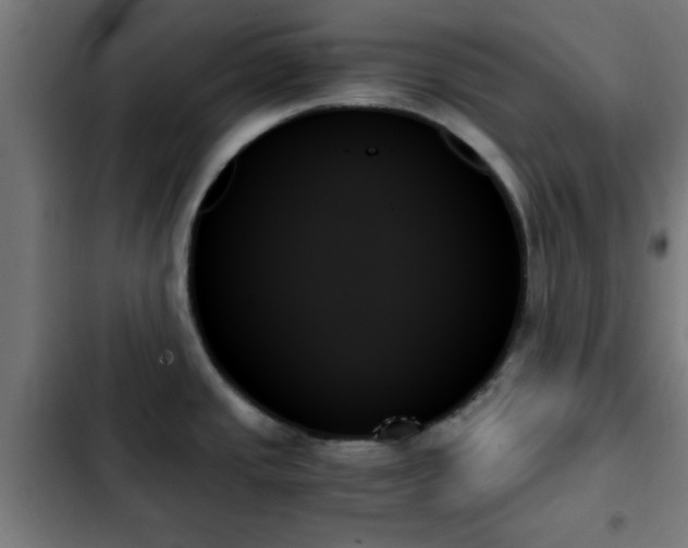 X0000103131437200808291306
