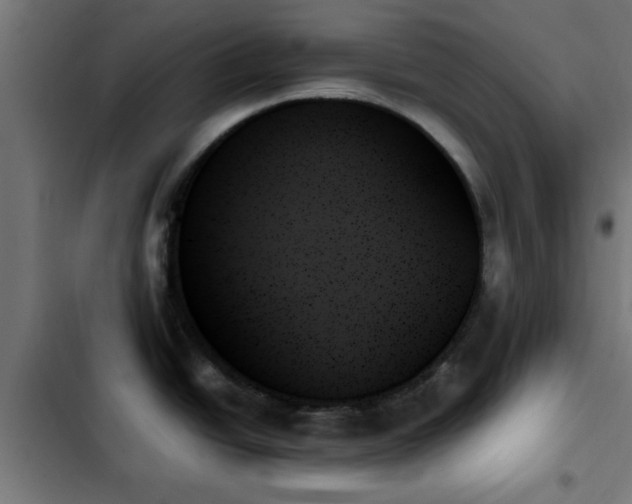 X0000103131438200808291306