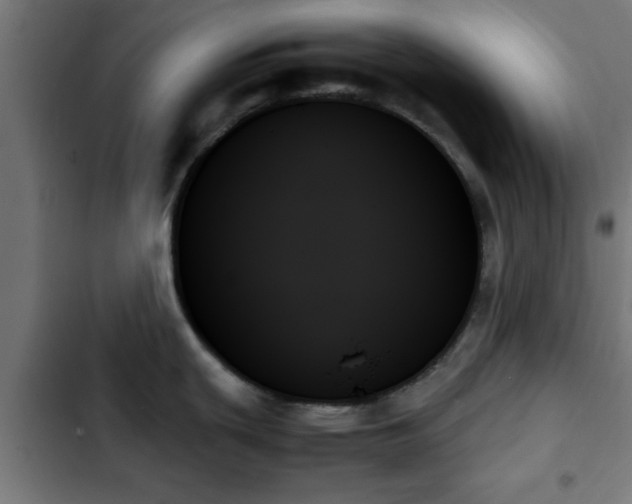 X0000103131439200808291306