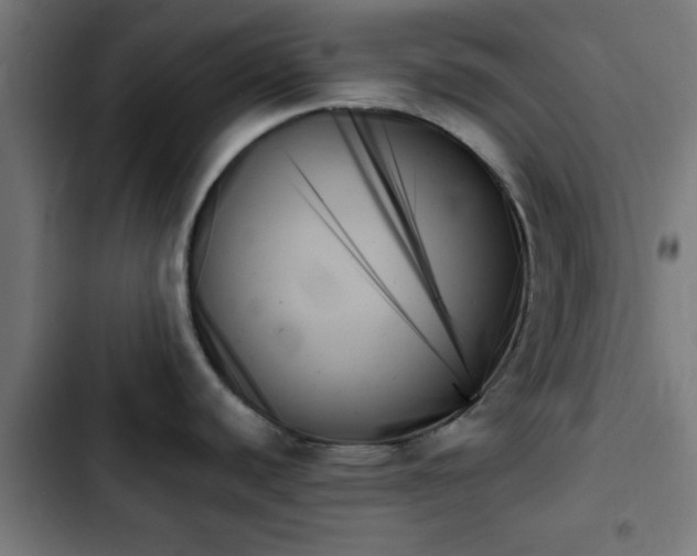 X0000103131440200808291306