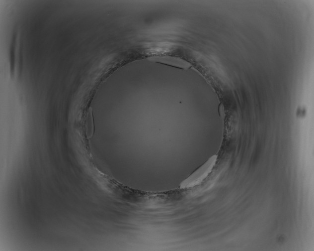 X0000103131441200808291305