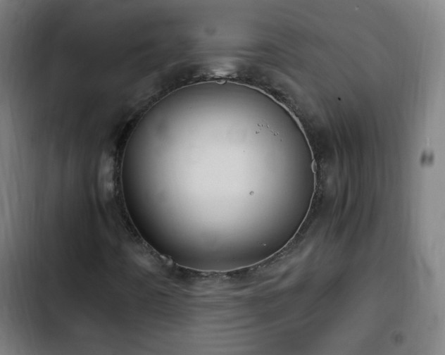 X0000103131442200808291305