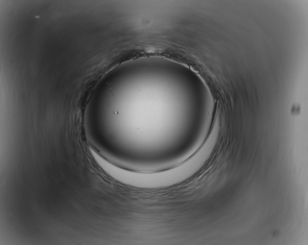 X0000103131443200808291305