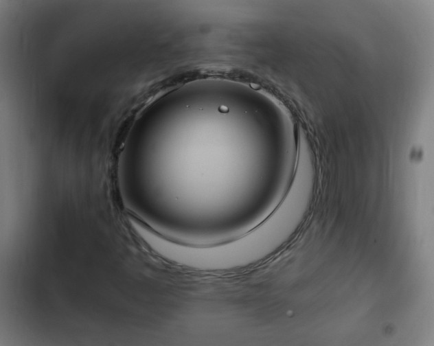 X0000103131445200808291305