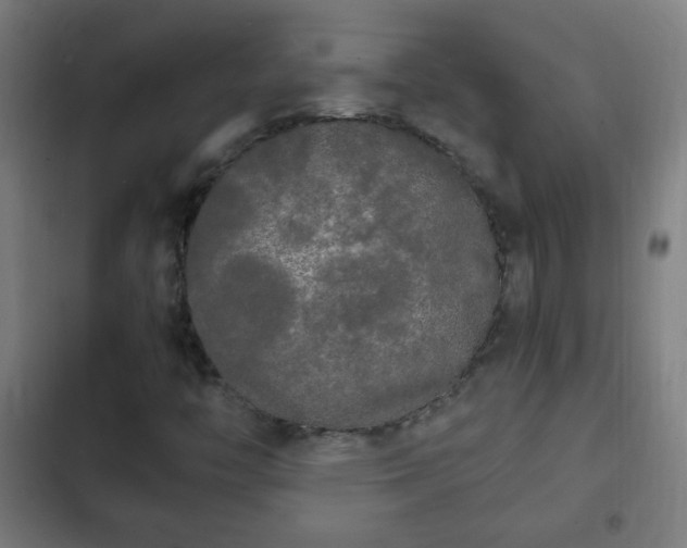 X0000103131446200808291305