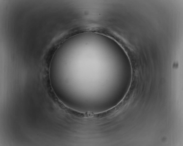 X0000103131447200808291305