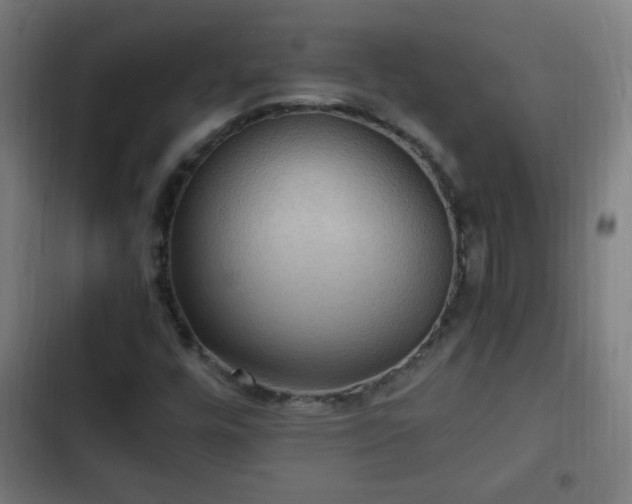 X0000103131448200808291305