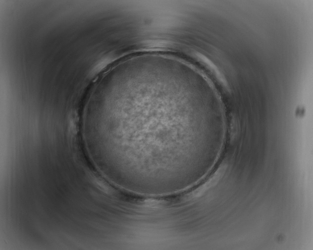 X0000103131449200808291305