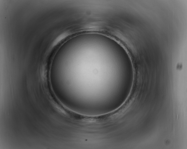 X0000103131450200808291305