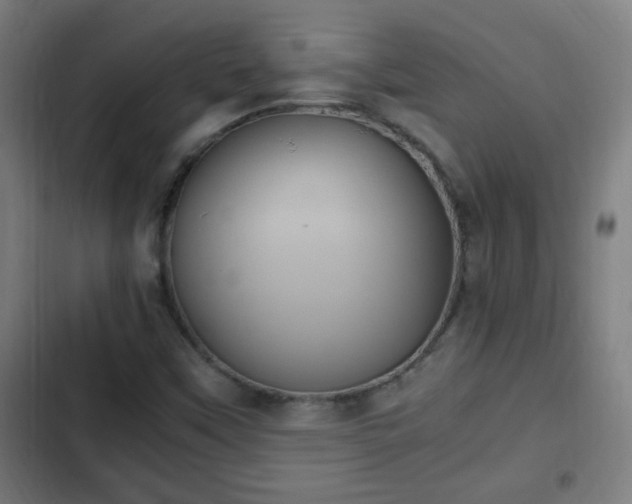 X0000103131451200808291305