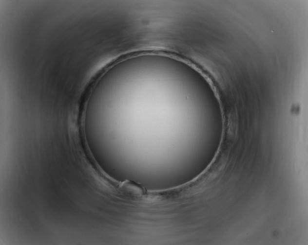 X0000103131452200808291305