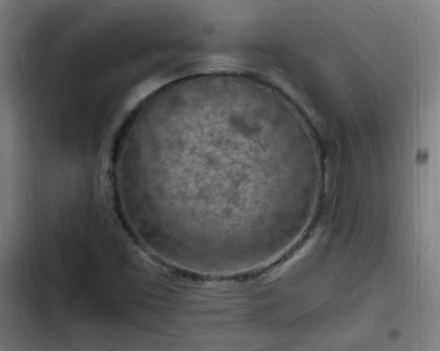 X0000103131453200808291305