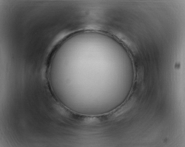 X0000103131454200808291305