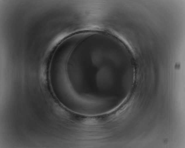X0000103131455200808291305