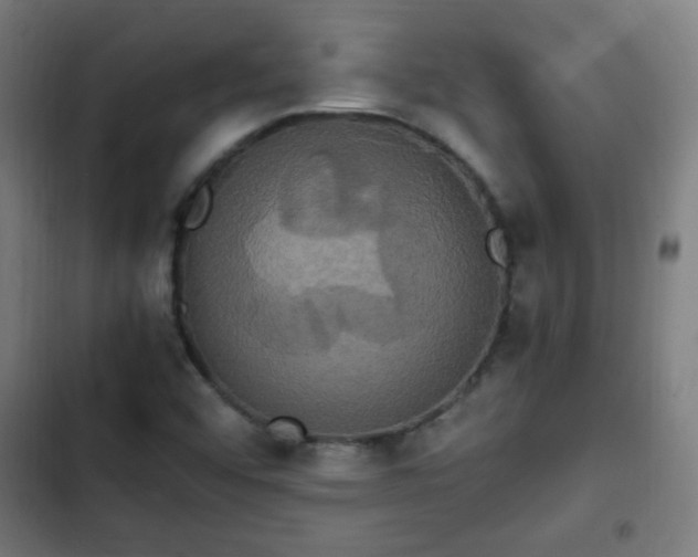 X0000103131456200808291305