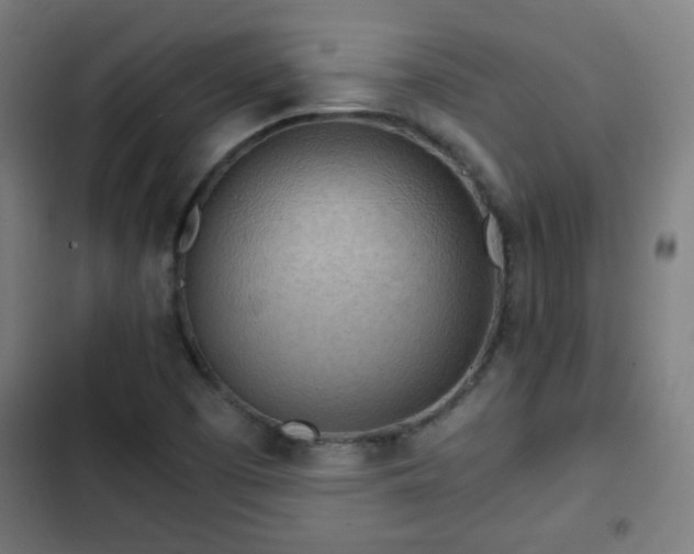 X0000103131457200808291305