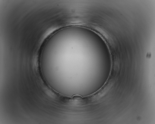 X0000103131458200808291305
