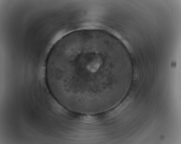 X0000103131459200808291305