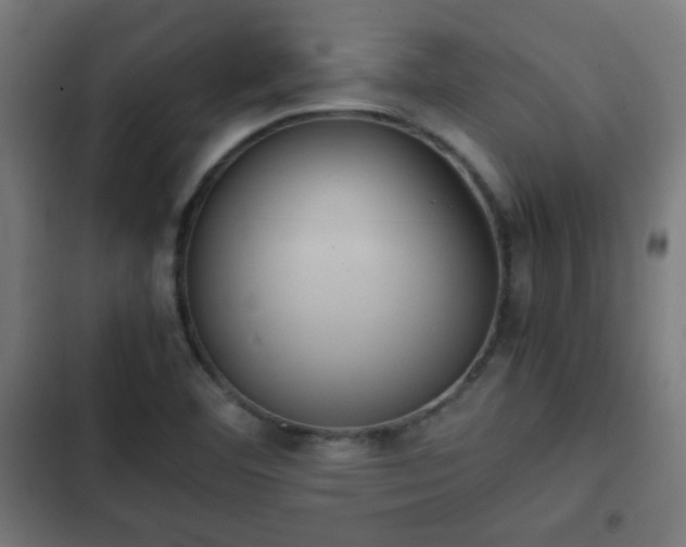 X0000103131460200808291305