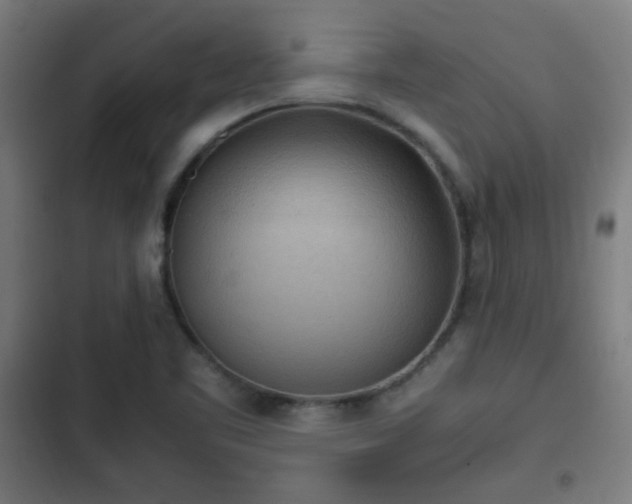 X0000103131461200808291305