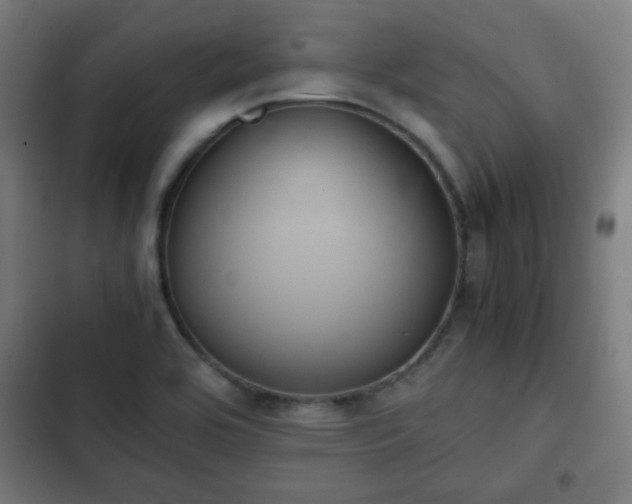 X0000103131464200808291305