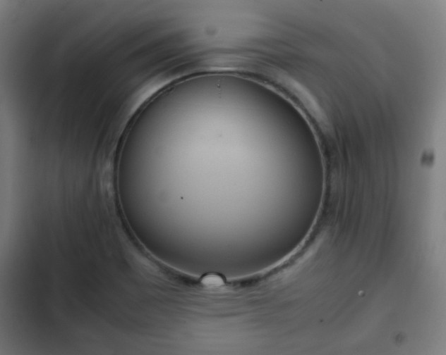 X0000103131465200808291305