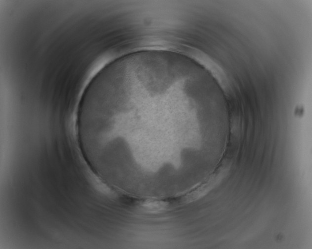 X0000103131466200808291305