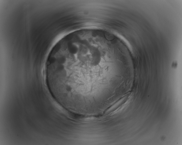 X0000103131467200808291305