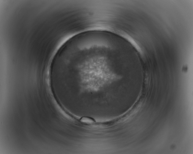 X0000103131468200808291305