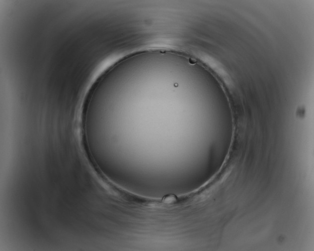 X0000103131469200808291305