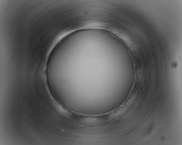 X0000103131470200808291305