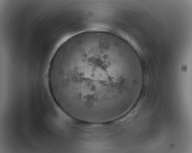 X0000103131471200808291305
